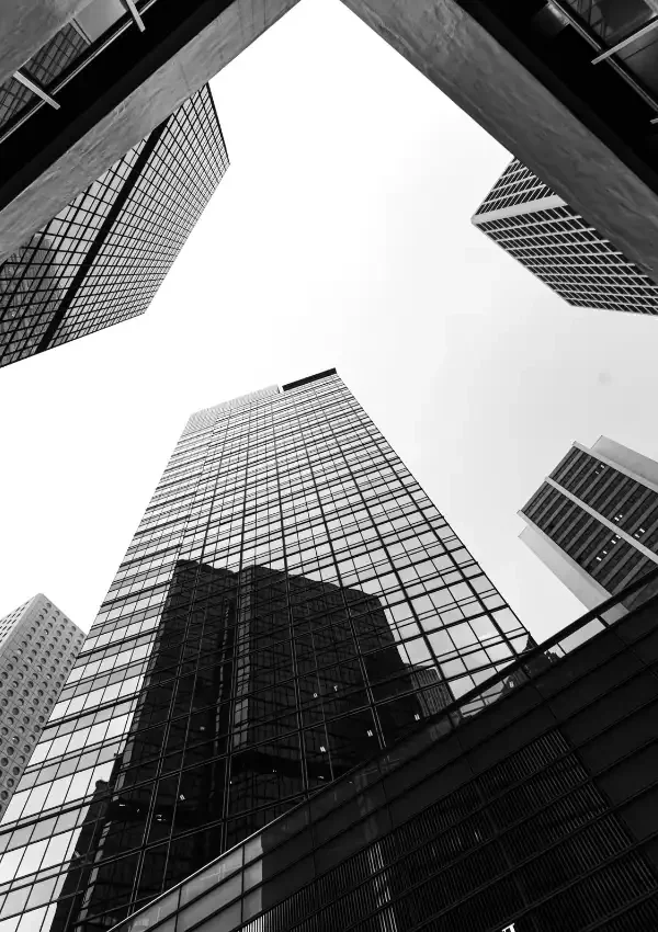 Stocks, Bitcoin, and Property: Market Surges and Impacts
